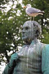 bird droppings