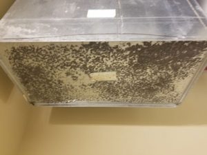 Deterioration of outdoor air duct with excess moisture settling on bottom of duct.